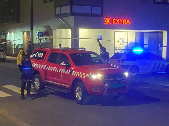 Norweska policja