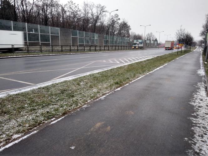 ZDM Poznań i akcja zima