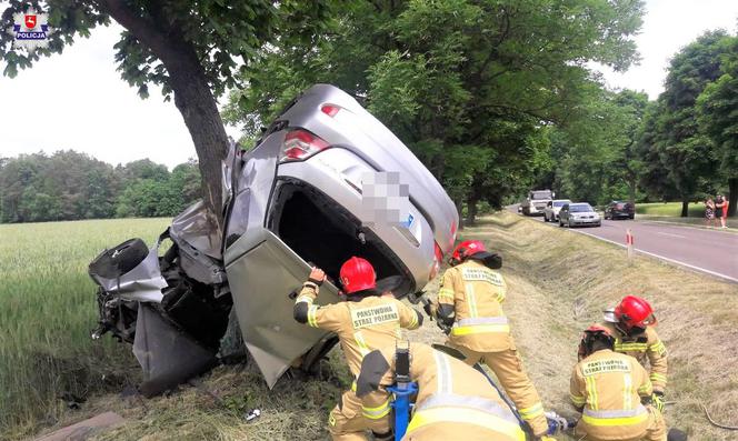 Honda Civic owinięta o drzewo