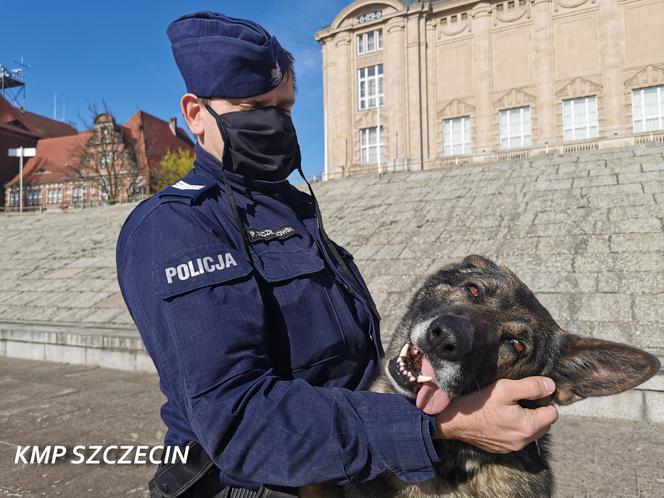 Pies Karzeł uratował desperata