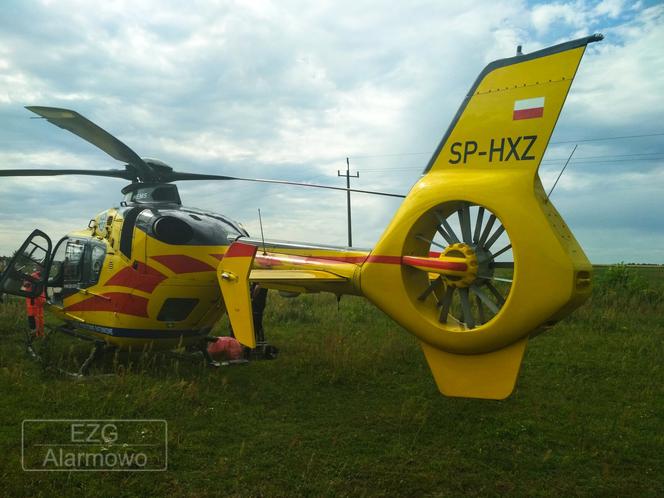 Koń stratował dżokejkę