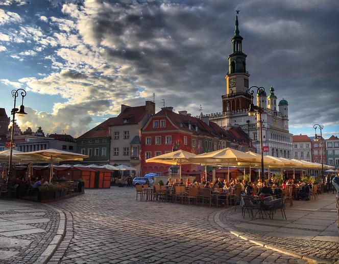 Quiz. Prawda czy fałsz?! Szybki test wiedzy o Poznaniu!