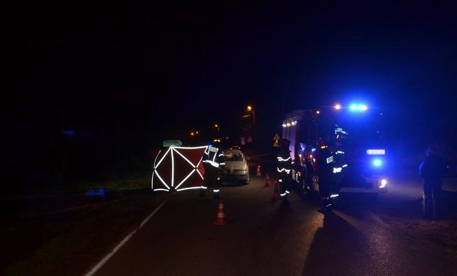 Makabra na drodze pod Krakowem, nie żyje kobieta. Policja szuka świadków