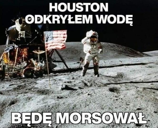 Morsowanie - MEMY, które komentują nowy trend