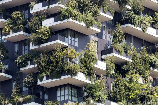 biophilic design