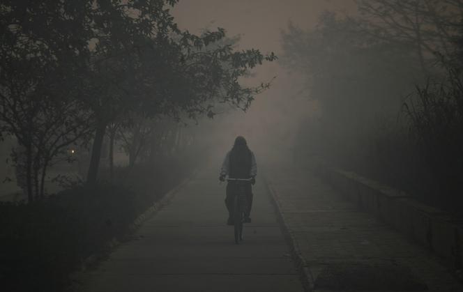 Smog: fakty i mity. To musisz wiedzieć!