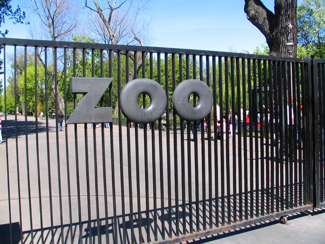 Warszawskie Zoo ma już 90 lat
