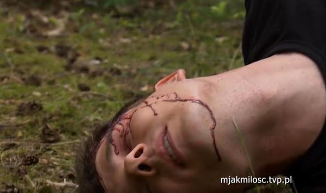 M jak miłość. Nagła śmierć Janka. Zginie zastrzelony w lesie! Ciało wyłowią z portu w Gdyni - WIDEO