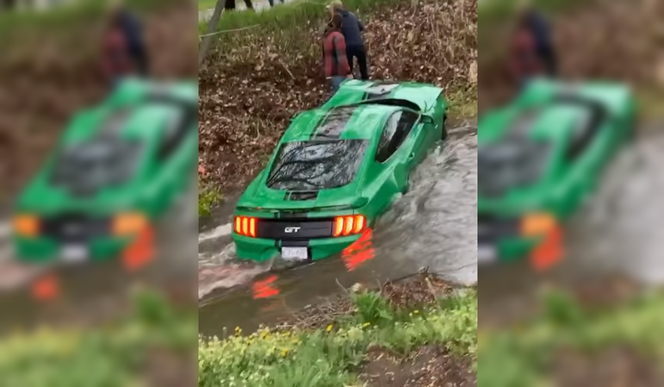 Rozbijanie Mustangów to już mainstream. Tym razem amerykański mięśniak zakończył jazdę w rzece