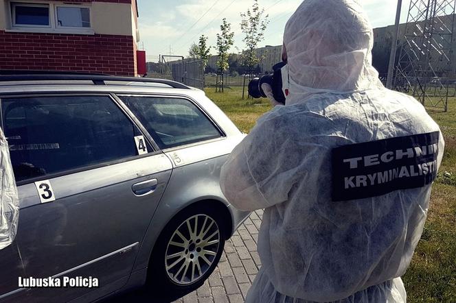Gorzów auta kradziez1