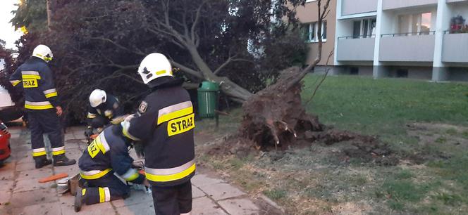 Dramatyczne skutki nawałnic! Zerwane dachy, tysiące rodzin bez prądu, 500 interwencji straży!