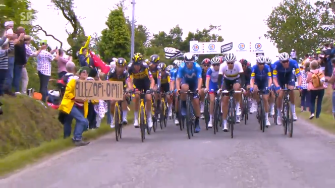 Fanka spowodowała ogromną kraksę na Tour de France. Chciała pokazać się w telewizji