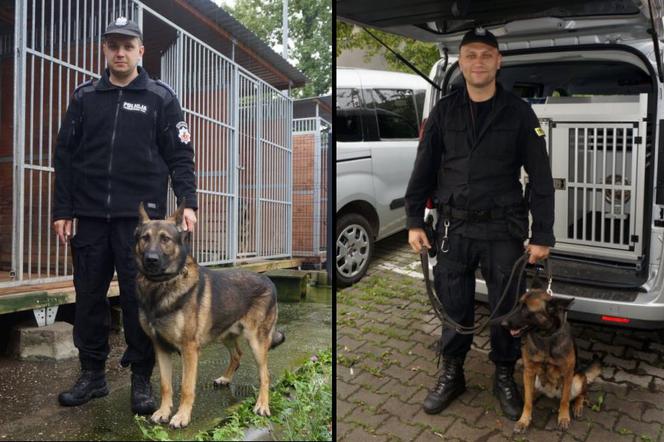 policja_psy tropiące_Rybnik