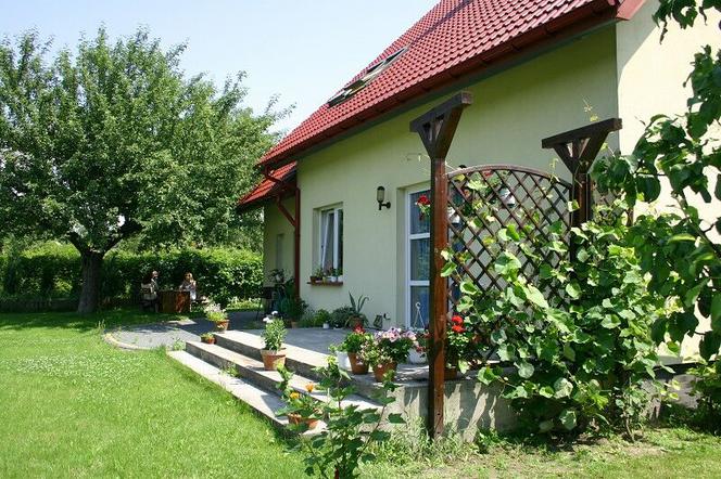 Pergola, trejaż, krata