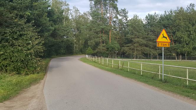 50 mln na drogi
