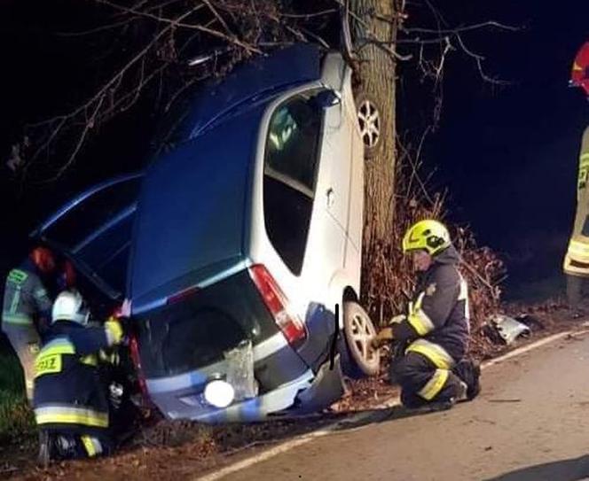 Wypadek na trasie Pruszcz - Gołuszyce! 19-latka wbiła się w drzewo