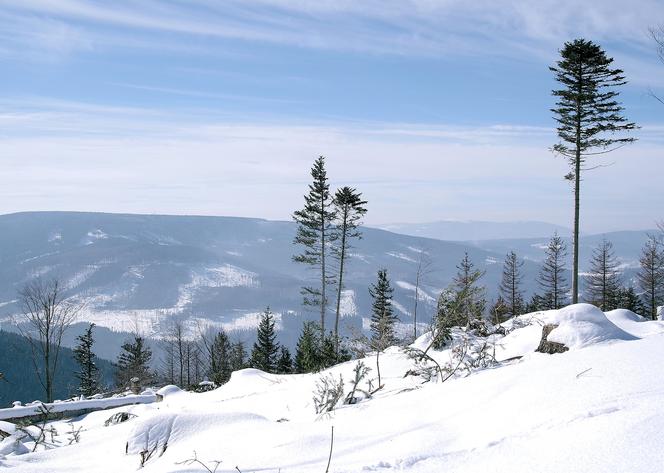 Góry Opawskie: Pojawił się pierwszy śnieg. Po turystach ani śladu