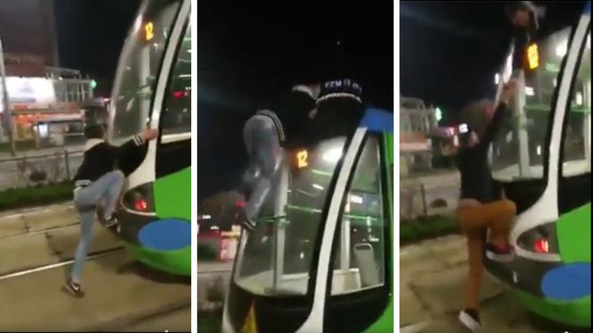 Dwóch młodych mężczyzn wdrapało się na tramwaj w centrum Szczecina