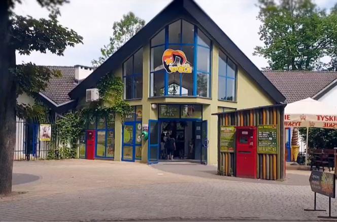 zoo, opole