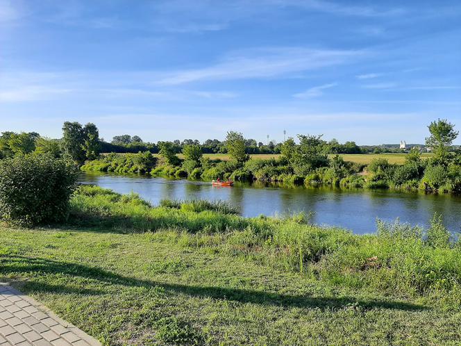 Pomysły na zagospodarowanie bulwarów w Łomży do poniedziałku