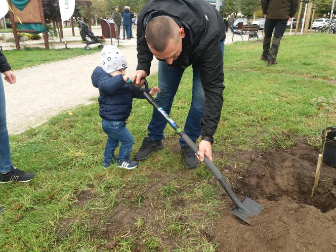 Jedno dziecko, jedno drzewo