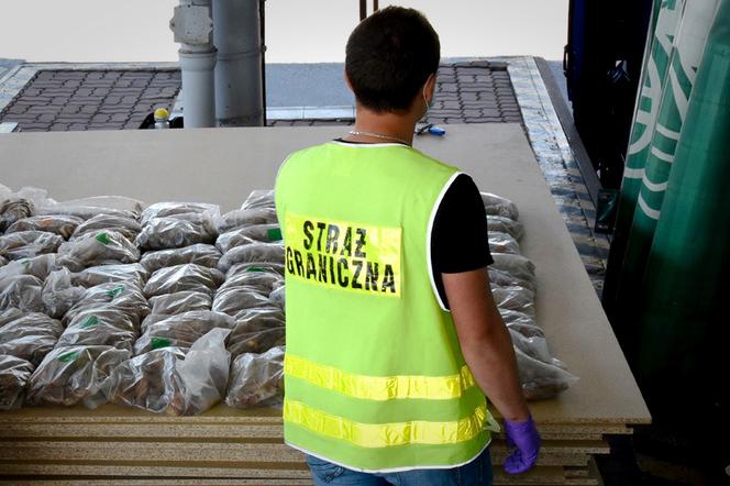 Korczowa: To był bursztynowy TIR! Ukrainiec chciał przemycić do Polski 100 kg kamieni!