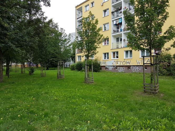 Nie będzie zielonej kategorii Budżetu Obywatelskiego