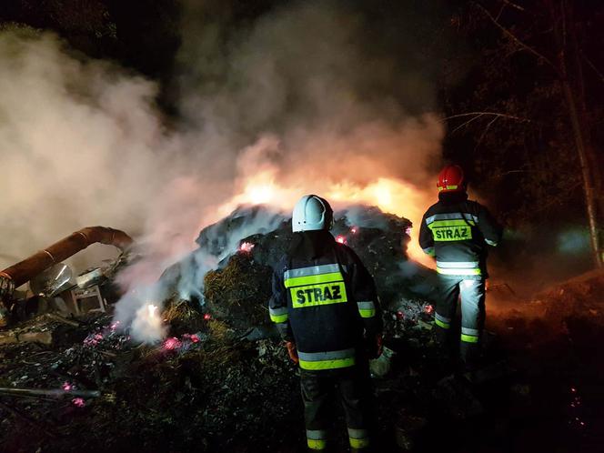 Straszny pożar w Łomnicy-Zdroju. Zginęły zwierzęta