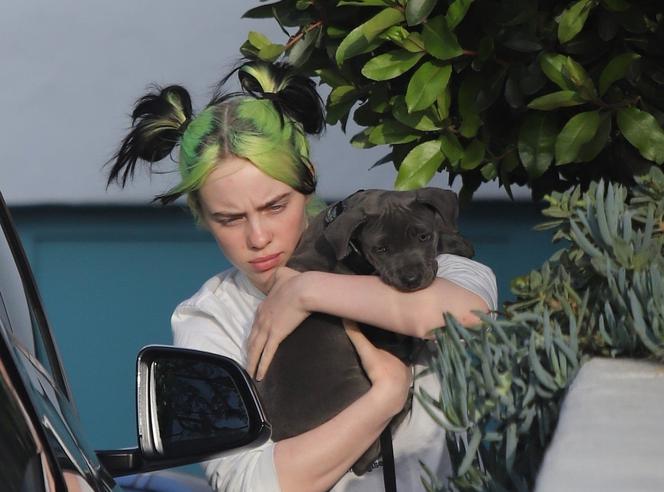 Billie Eilish