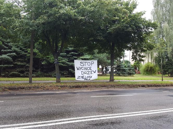 Petycja w sprawie drzew na Fabrycznej jeszcze bez odpowiedzi. Leży w urzędzie od sierpnia