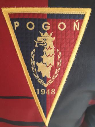Pogoń