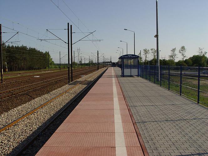 PKP wreszcie ma konkurencję! Z peronu GOSIEWSKIEGO we Włoszczowie pojedziesz do Pragi!