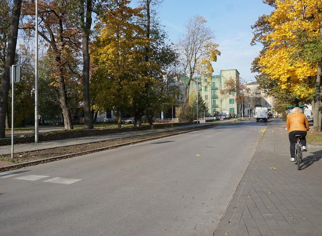 Będzie więcej roślin przy ulicy Solnej w Kielcach. Co tam posadzą?