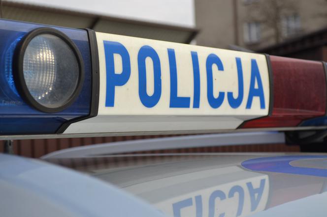 Przestępcza para z Torunia w rękach policji. Ogromna lista zarzutów