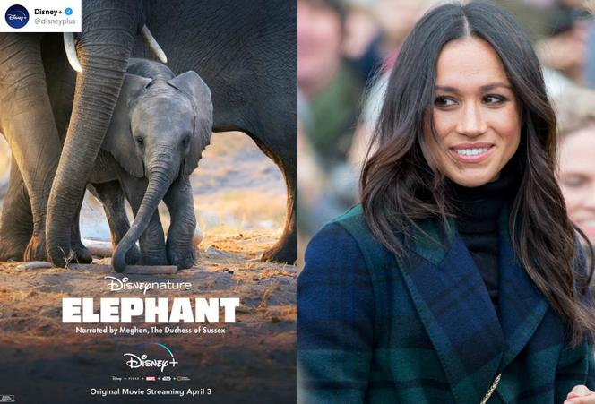 Meghan Markle - Elephant