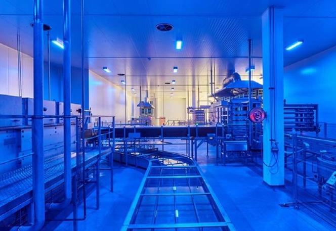 lampy uv-c w zakładzie produkcyjnym