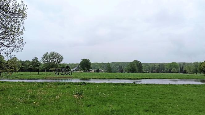 Park Śląski w Chorzowie