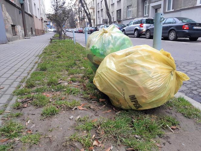 Drożeje wywóz śmieci