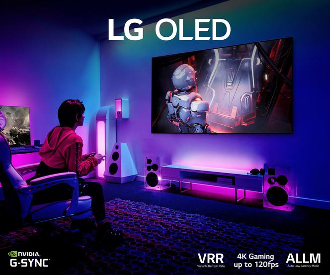 Graj na telewizorze LG OLED evo