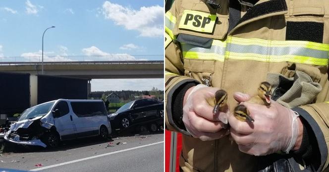 Totalny armagedon na S8 pod Wyszkowem. Trzy małe kaczuszki doprowadziły do karambolu