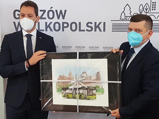 Gorzów: autobusy