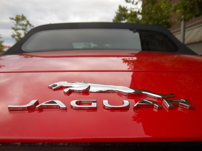 Jaguar kontra audi a6. w Łdzicach doszło do czołowego zderzenia! Wszystko przez PRĘDKOŚĆ!