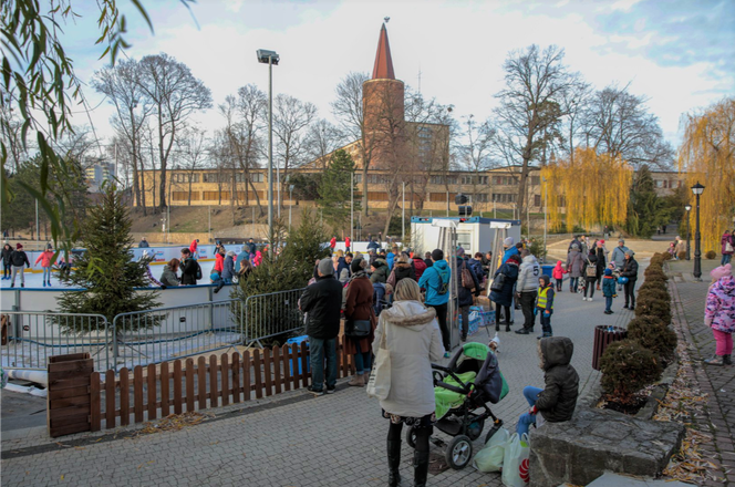 Opole lodowisko