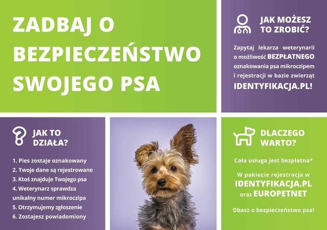grudziądz