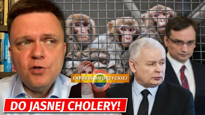 HOŁOWNIA YT