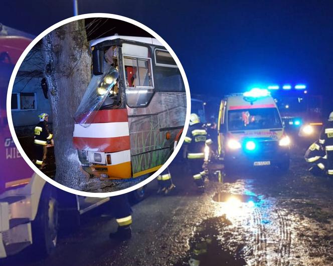 Autobus z dziećmi uderzył w drzewo! Są ranni. Dramat w Trzebiechowie