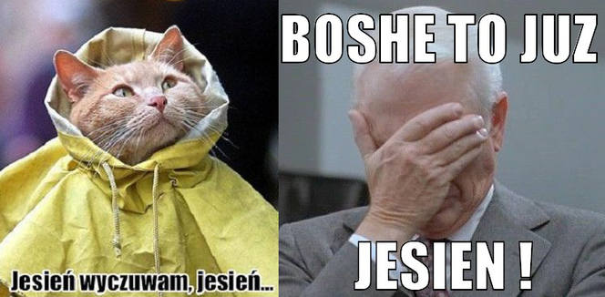 Jesień - przykładowe memy