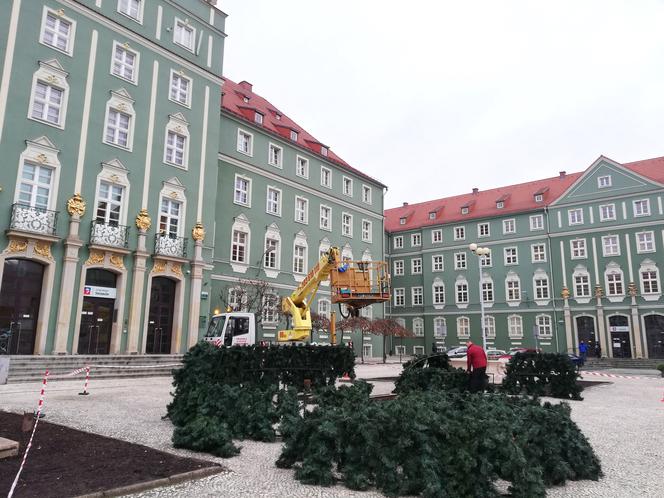 Trwa montaż choinki przed szczecińskim magistratem