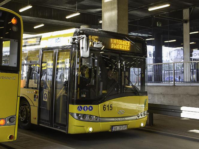 Bezpłatna komunikacja miejska na Śląsku 1 listopada. Będą też dodatkowe kursy autobusów i tramwajów