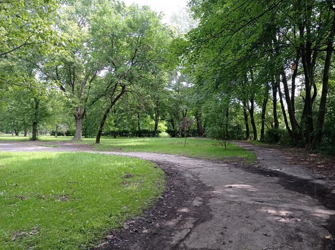 Tu powstanie nowy park